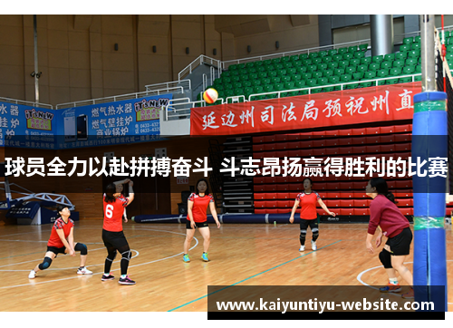 球员全力以赴拼搏奋斗 斗志昂扬赢得胜利的比赛
