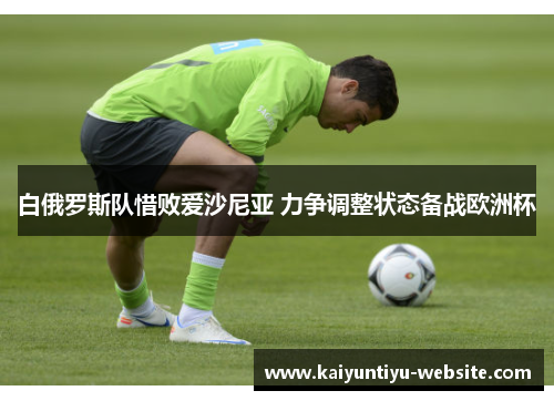 白俄罗斯队惜败爱沙尼亚 力争调整状态备战欧洲杯