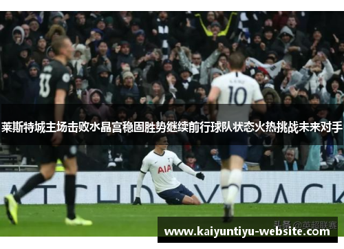 莱斯特城主场击败水晶宫稳固胜势继续前行球队状态火热挑战未来对手