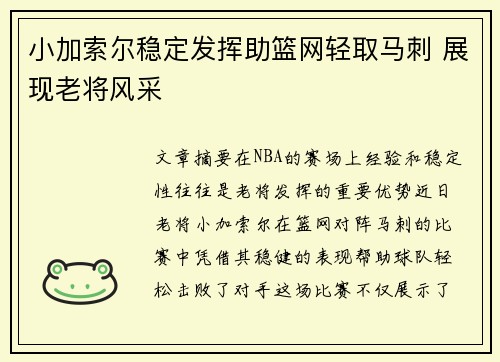小加索尔稳定发挥助篮网轻取马刺 展现老将风采