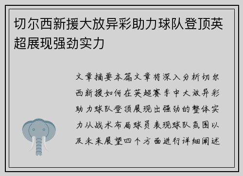 切尔西新援大放异彩助力球队登顶英超展现强劲实力