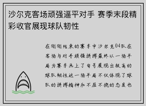 沙尔克客场顽强逼平对手 赛季末段精彩收官展现球队韧性