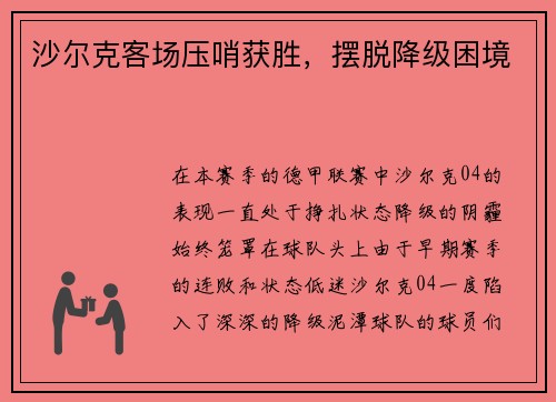 沙尔克客场压哨获胜，摆脱降级困境