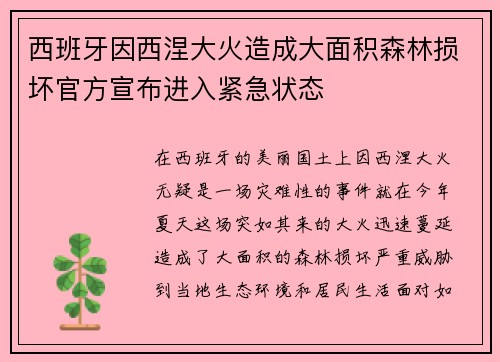 西班牙因西涅大火造成大面积森林损坏官方宣布进入紧急状态