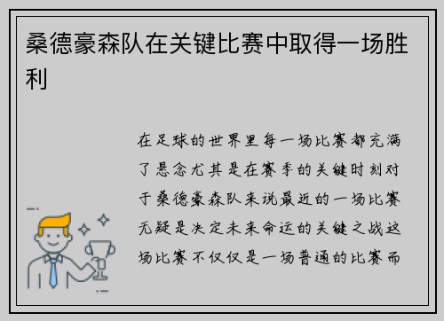 桑德豪森队在关键比赛中取得一场胜利