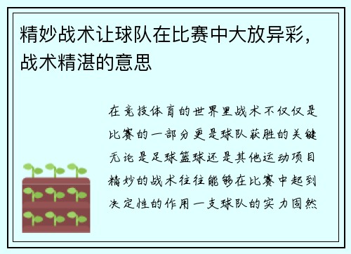 精妙战术让球队在比赛中大放异彩，战术精湛的意思